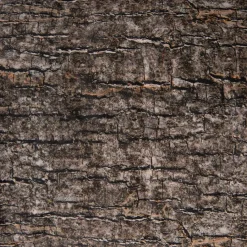 Online Learn about Nature Tree Stump Seat Shop The Full Range|Bean Bags