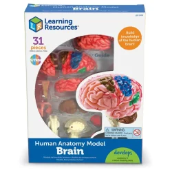 New Learning Resources Complete Anatomy Models Human Body|Science Essentials