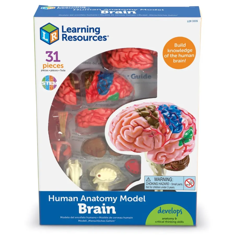New Learning Resources Complete Anatomy Models Human Body|Science Essentials