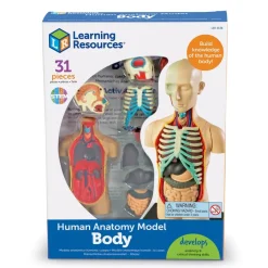 New Learning Resources Complete Anatomy Models Human Body|Science Essentials