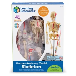 New Learning Resources Complete Anatomy Models Human Body|Science Essentials
