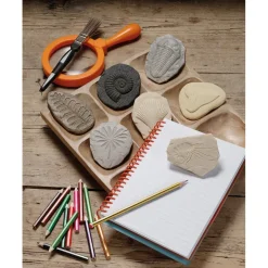 Sale Let's Investigate Fossils 8pcs Outdoor Sand & Water|Shop The Full Range