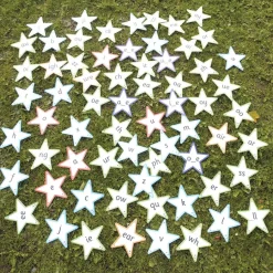 Clearance Letter & Sounds Outdoor Stars 68pk Phonics|Music