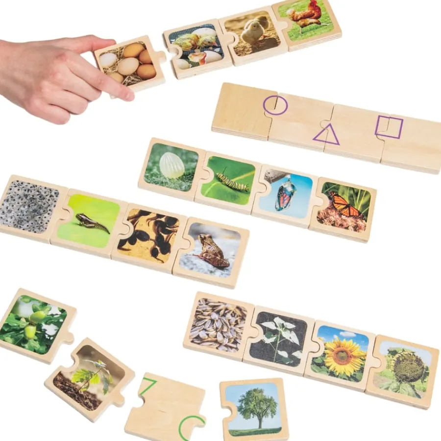 Clearance Life Cycles Puzzle 6pk Animals & Minibeasts