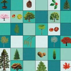 Best Loti-Bot Mat - Trees Programming & Control Technology|Programmable Robots