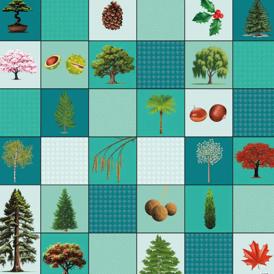Best Loti-Bot Mat - Trees Programming & Control Technology|Programmable Robots