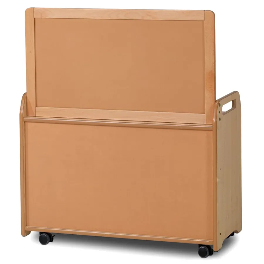 Best Millhouse Storage Room Divider Boxes & Containers