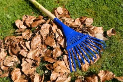 Online My First Garden Tools Pack Tools And Equipment|Plants & Growing