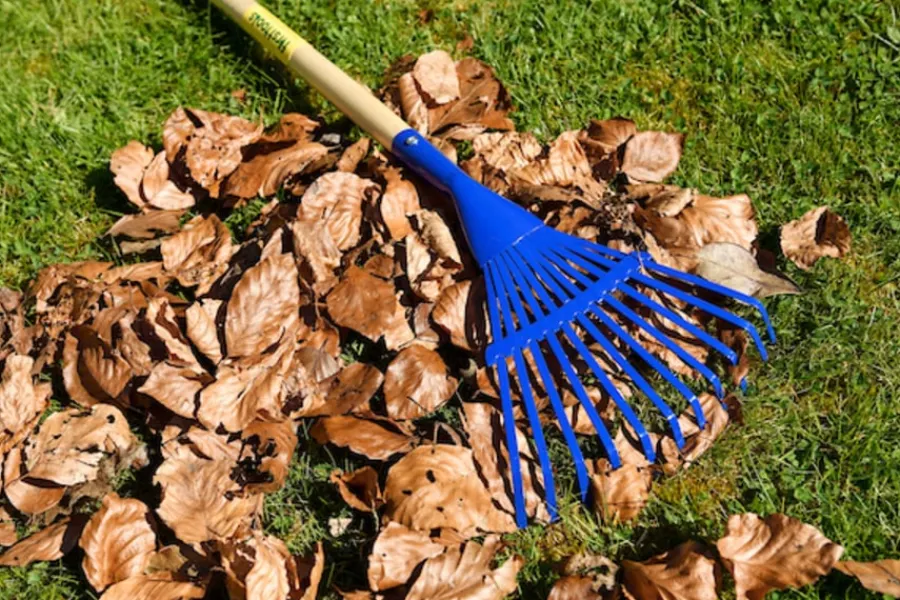 Online My First Garden Tools Pack Tools And Equipment|Plants & Growing