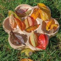 New Natural Flower Sorting Tray Exploring Numbers|Loose Parts