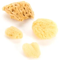 Sale Natural Sea Sponge Variety Pack 4pk Outdoor Art|Mark Making Tools