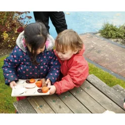 Online Natural Sorting Tray Shop The Full Range|Sorting & Classification
