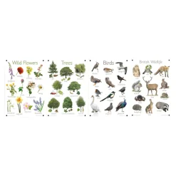 Clearance Nature Outdoor Learning Boards 4pk Explorers|Forest Schools