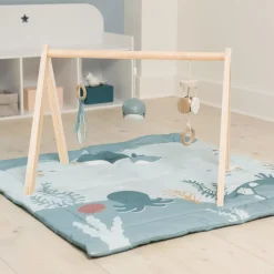 Discount Ocean Collection Baby Activity Gym & Accessories Shop The Full Range|Curious Baby