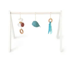 Discount Ocean Collection Baby Activity Gym & Accessories Shop The Full Range|Curious Baby