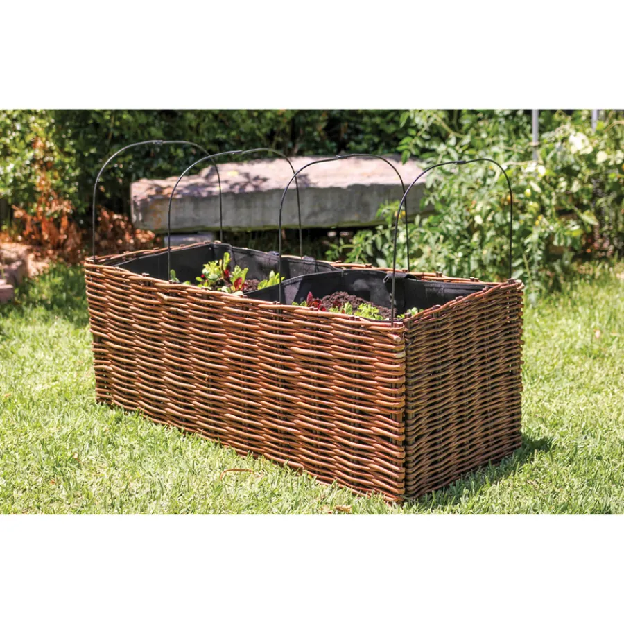 Planter Starter Kit With Cover Science|Plants & Growing