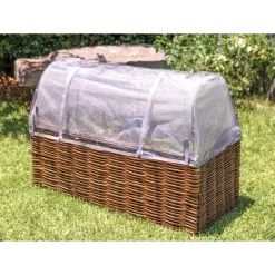 Planter Starter Kit With Cover Science|Plants & Growing