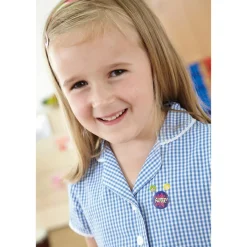 Praise Words and Thumbs Up Stickers Bulk Pack 3720pk Pshe Rewards|Festivals & Celebrations