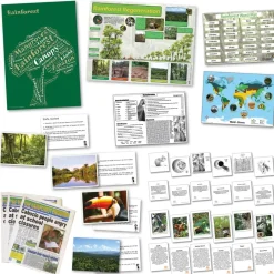 Sale Rainforest Curriculum Pack Physical & Human Geography