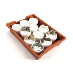 Best Rock Samples Class 11pk Rocks & Fossils