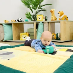 Clearance Safari Collection Baby Roly Poly Balls Shop The Full Range|Curious Baby