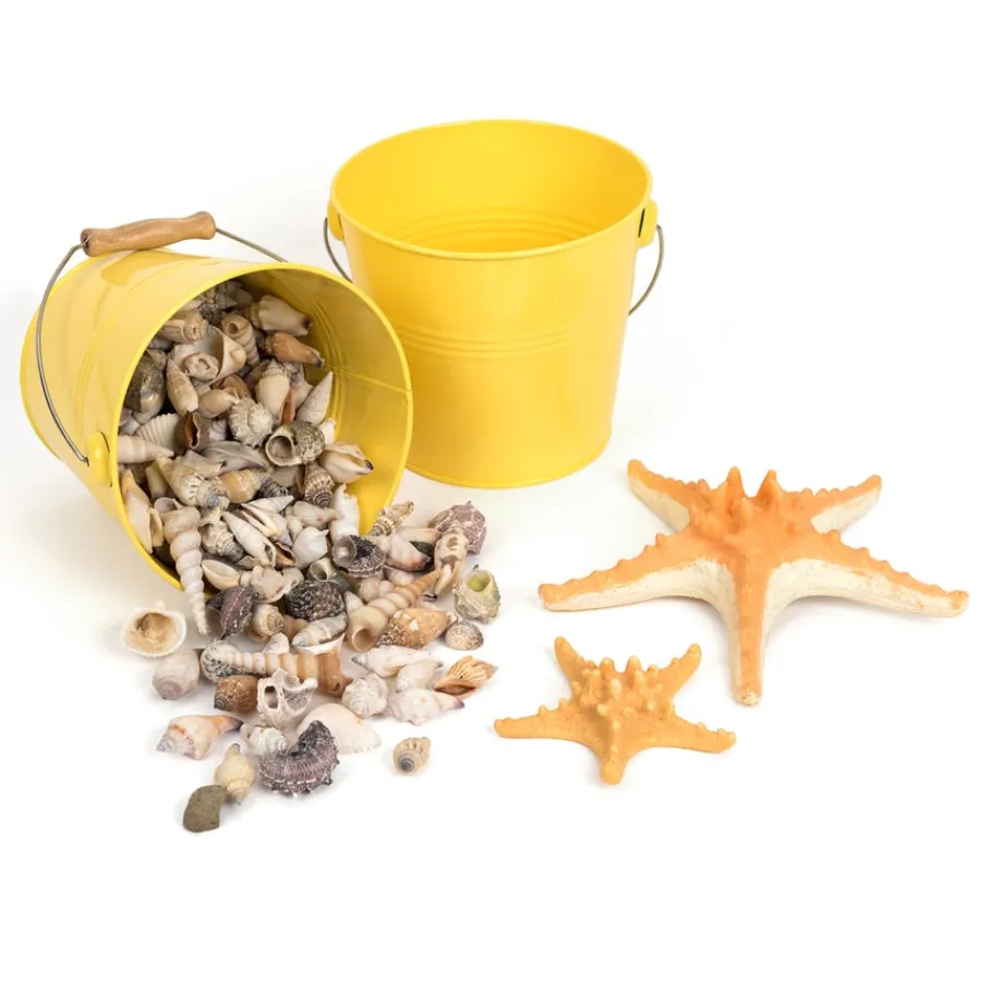 New Seaside Old and New Artefact Topic Collection Artefacts|Topics & Themes