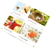 Clearance Seasons Book Pack Non-Fiction Books|Classroom Collections