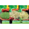 Clearance Seeds To Eat In 1 Week - 3pk Composting, Soil, Seeds And Potting|Plants & Growing