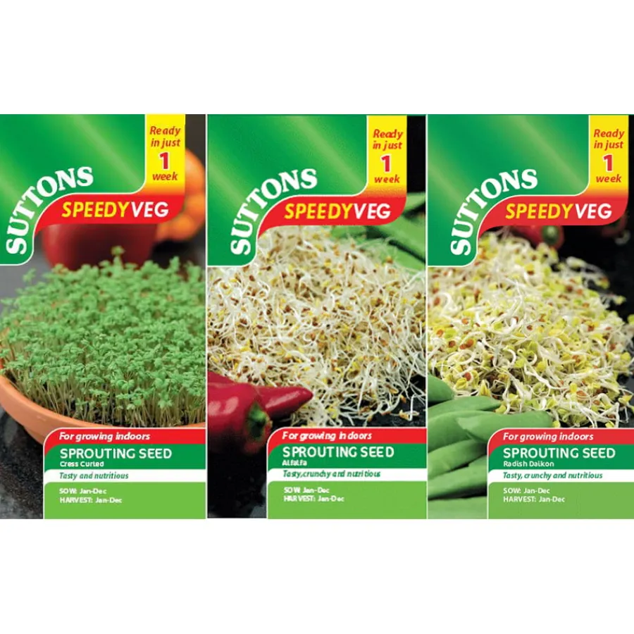 Clearance Seeds To Eat In 1 Week - 3pk Composting, Soil, Seeds And Potting|Plants & Growing