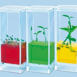 Clearance See Plants Grow Laboratory Class Kits|Plants & Growing