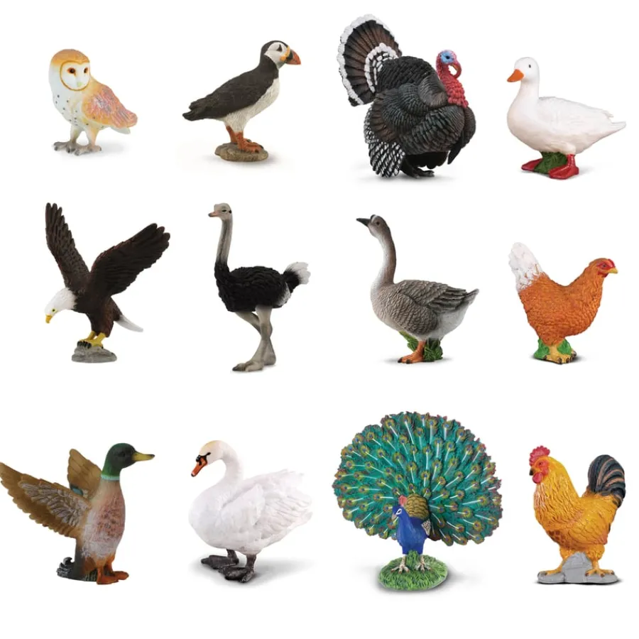 Best Small World Birds Set 12pcs Animals|Figures