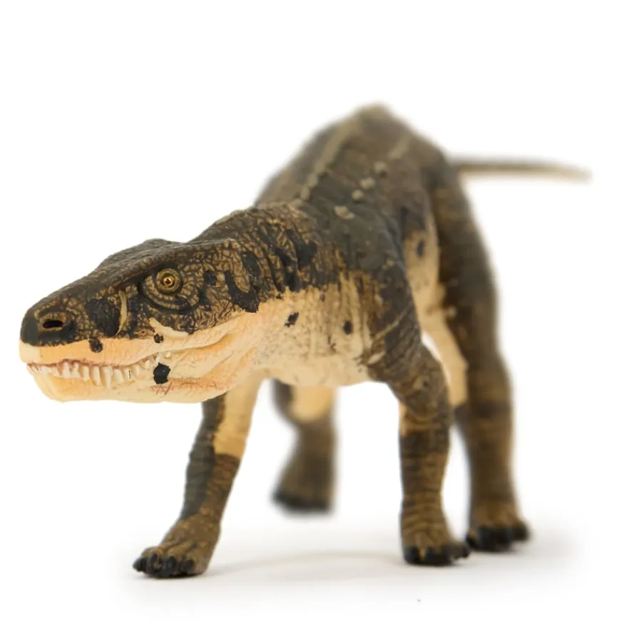 Clearance Small World Dinosaur Set 10pcs Figures|The Past And Present Day