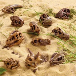 Hot Small World Replica Dinosaur Skulls 11pk Outdoor Sand & Water|Figures