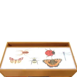 New Squidgy Light Box Accessory Kit Investigating Materials|Technology