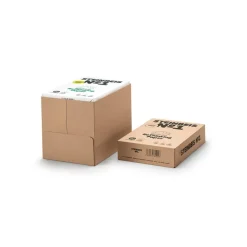 Outlet Steinbeis No. 1 A4 80gsm Recycled Copier Paper 5 Reams Copier Card & Paper|Paper & Card