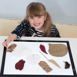 Online Super Slim Light Panel Light Up Learning|Technology