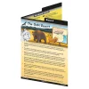 Discount The Literacy Box 1 ages 5-7 Comprehension