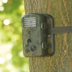 Time Lapse And Motion Activated Camera Science|Outdoor Ict