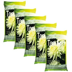 Discount Top Soil 2L Plants & Growing|Rocks & Fossils