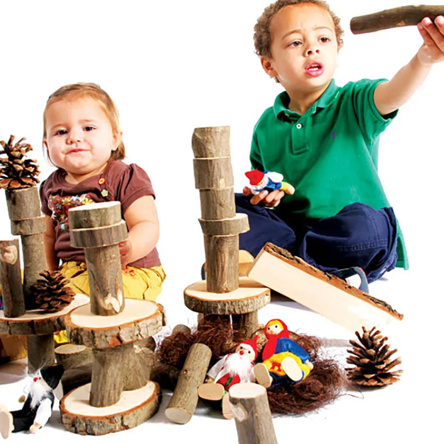 Sale Tree Blocks With Bark 36pcs Construction Sets|Investigating Materials