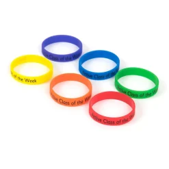 Discount Active Champion of the Year Reward Wristbands Coaching Resources