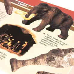 Hot 12,000BC to 2000AD Timeline 4m Historical People & Events|Classroom Activities & Timelines