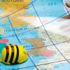 Outlet Bee-Bot® Starter Set Programming & Control Technology|Technology