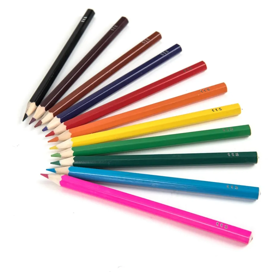 Clearance Chunky Hexagonal Coloured Pencils Assorted Drawing|Tts Brand