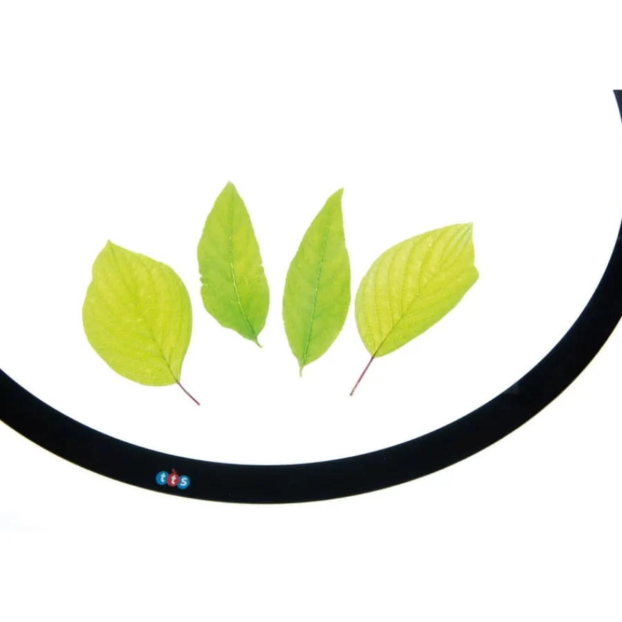 Discount Circular Light Panel D60cm Light Up Learning|Technology