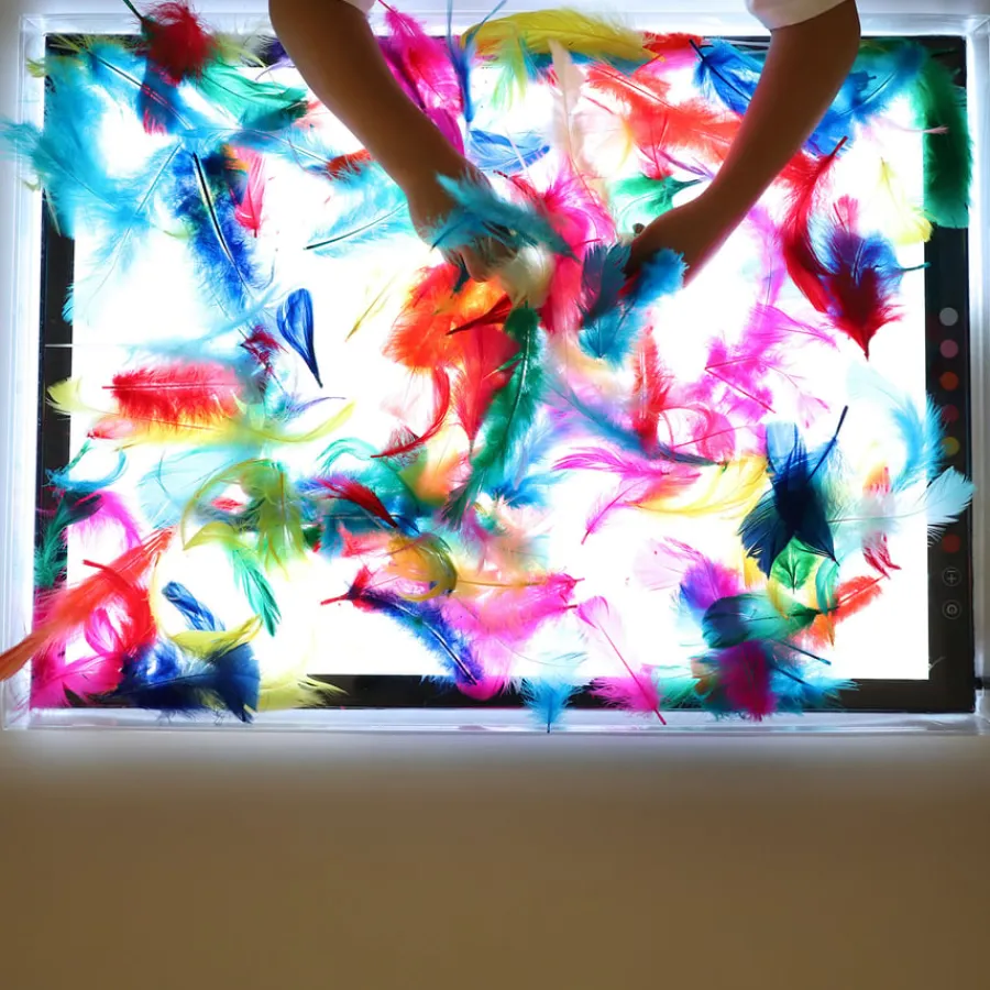Outlet Colour Changing Light Panels Light Up Learning|Sound, Light & Forensics