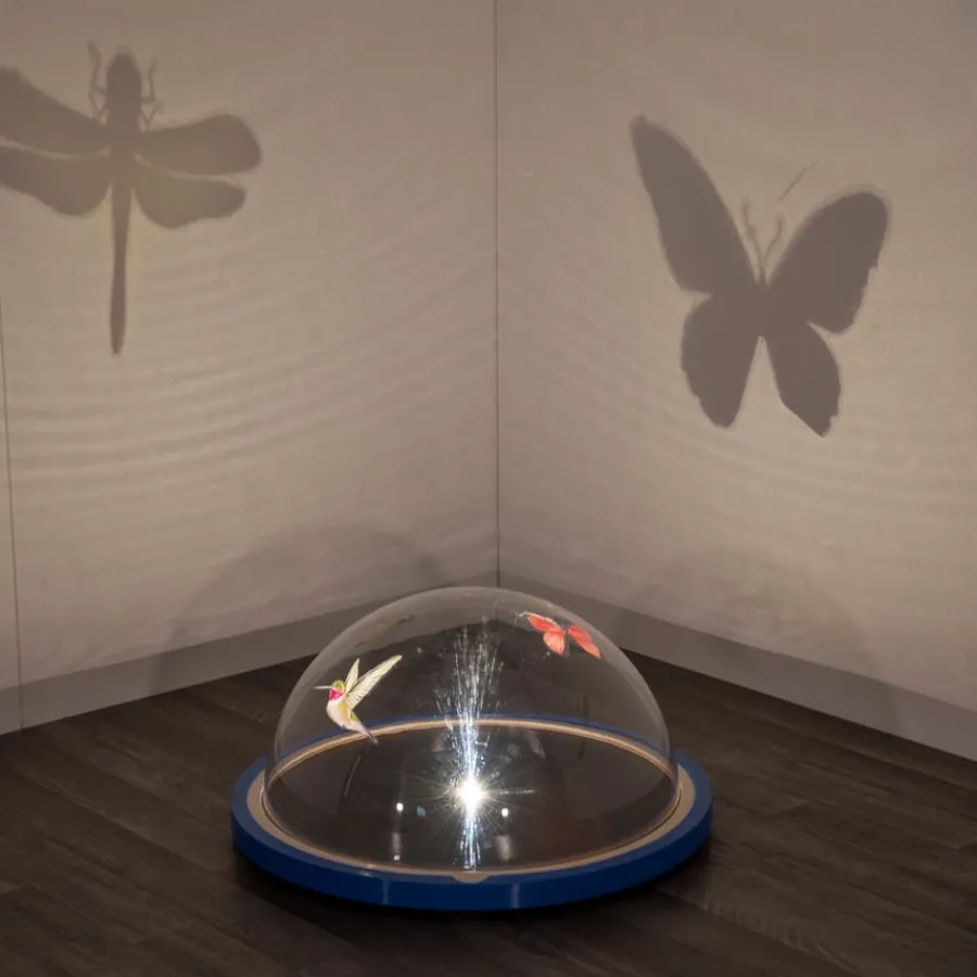 Clearance Early Years Immersive Projector Light Up Learning|Shop The Full Range