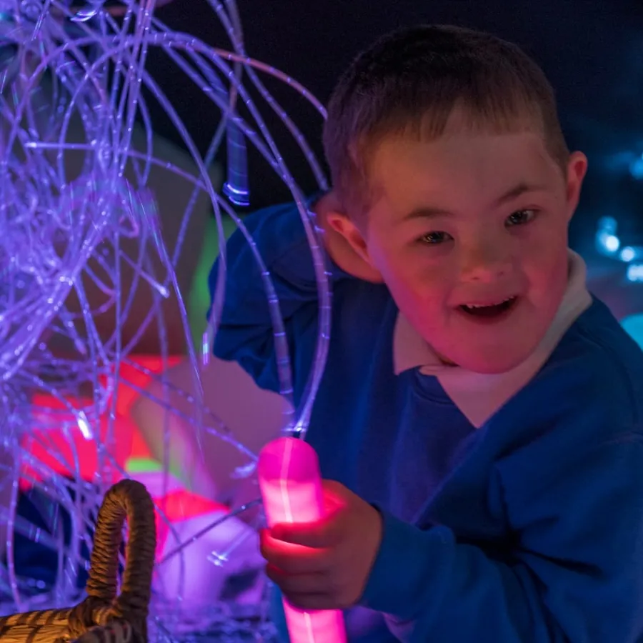 Sale Fibre Optic Light Source Light Up Learning|Touch, Sound & Aromas