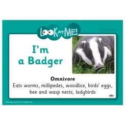 Discount Food Web - Activity Cards Animals & Minibeasts|Outdoor Physical Development