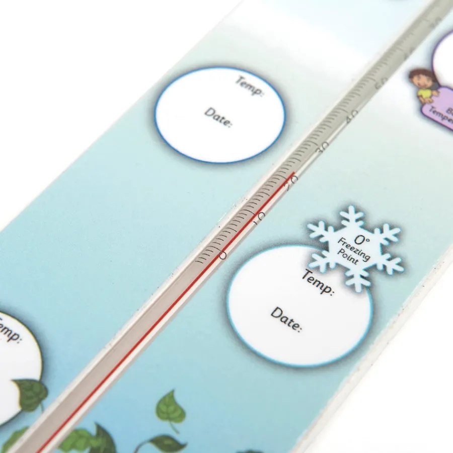 Outlet Giant Classroom and Outdoor Thermometer Sound, Light & Forensics